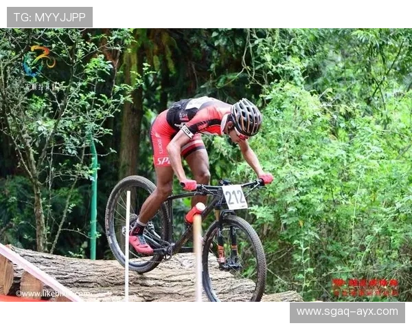 艾维展现惊人扣篮天赋，引爆赛场焦点